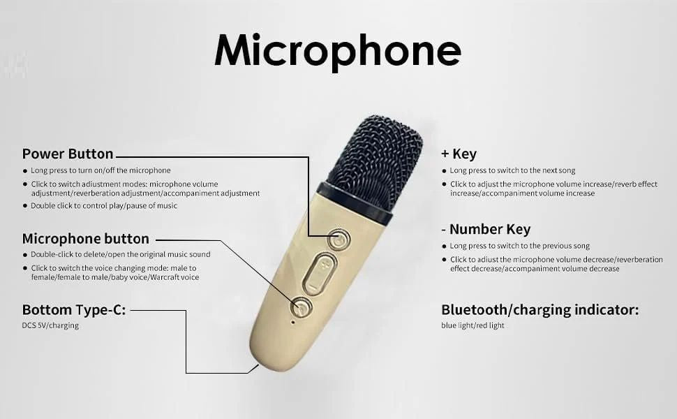 Rechargeable Karaoke Mic with Speaker